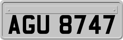 AGU8747
