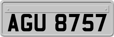 AGU8757
