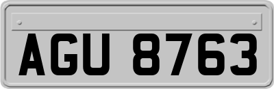 AGU8763