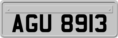 AGU8913