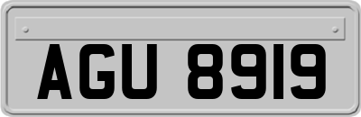 AGU8919