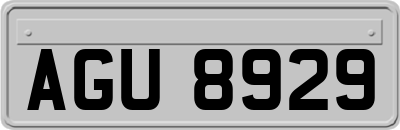 AGU8929
