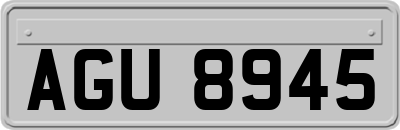 AGU8945