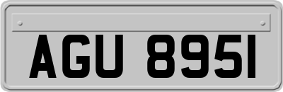 AGU8951