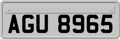 AGU8965