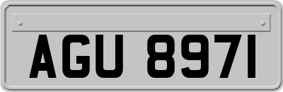 AGU8971