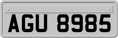 AGU8985
