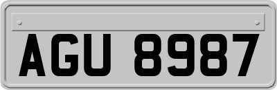 AGU8987