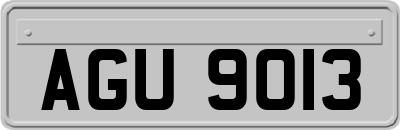 AGU9013