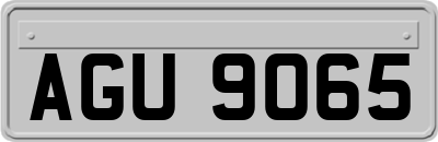 AGU9065