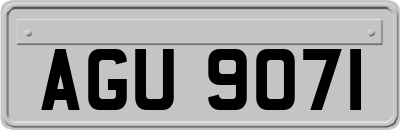 AGU9071