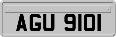 AGU9101
