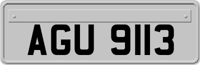 AGU9113