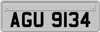 AGU9134