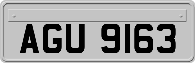 AGU9163