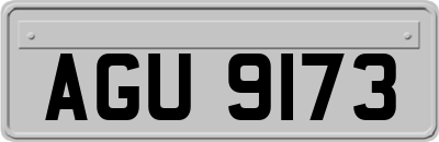 AGU9173