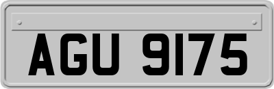 AGU9175
