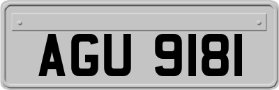 AGU9181