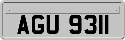 AGU9311