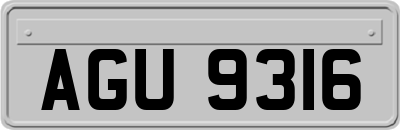 AGU9316
