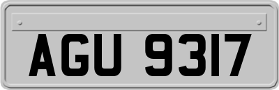 AGU9317