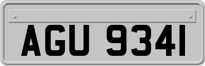 AGU9341