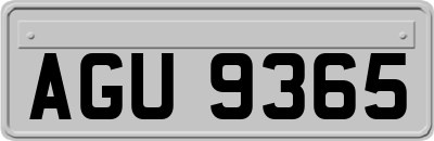 AGU9365