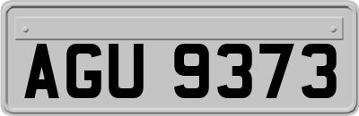 AGU9373
