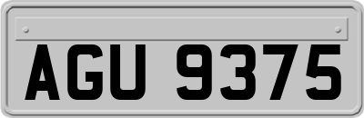 AGU9375