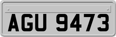AGU9473
