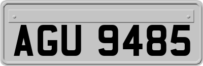 AGU9485