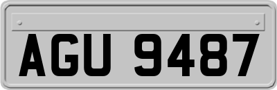 AGU9487