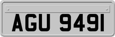 AGU9491