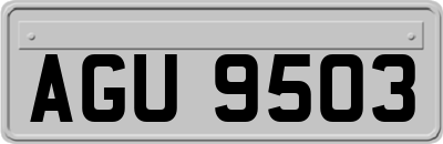 AGU9503
