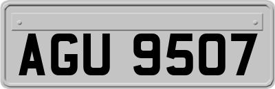 AGU9507