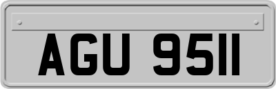 AGU9511