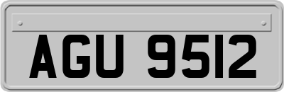 AGU9512