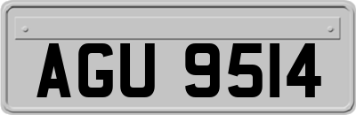 AGU9514