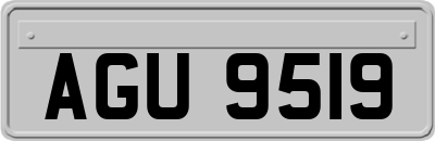 AGU9519