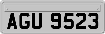 AGU9523