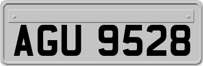 AGU9528