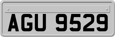 AGU9529
