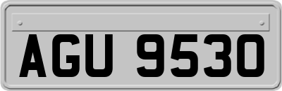 AGU9530