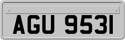 AGU9531