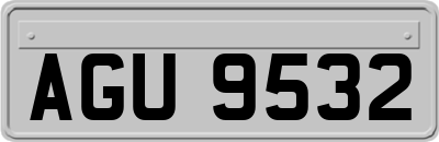 AGU9532