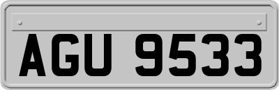 AGU9533