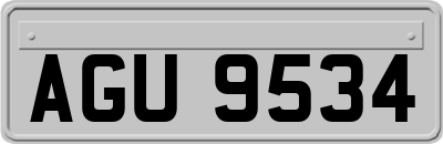 AGU9534