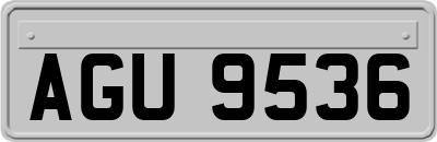 AGU9536