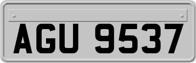 AGU9537