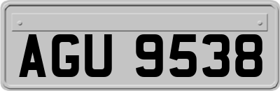 AGU9538